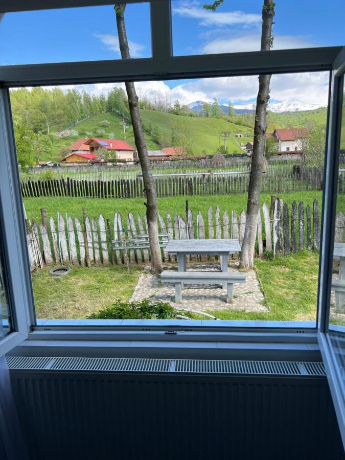 Green Garden Петрошани Экстерьер фото